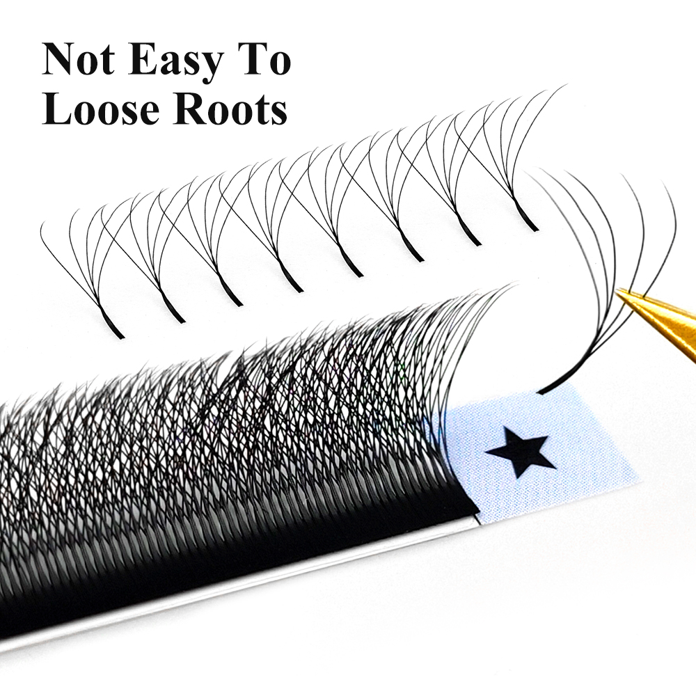 LAKANAKU W Shape Bloom 3D 4D 5 - đánh giá và giá Eyelash Extension Y Shape