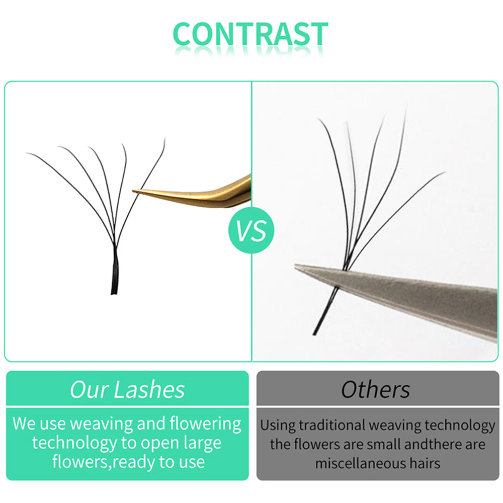 LAKANAKU W Shape Bloom 3D 4D 5 - đánh giá và giá Eyelash Extension Y Shape