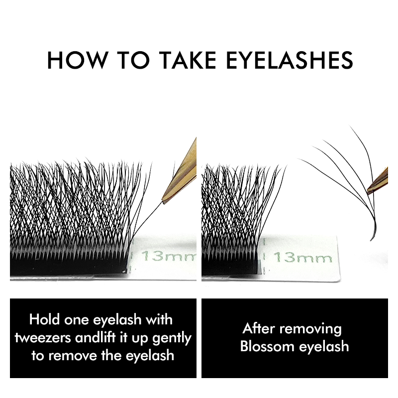 NATUHANA 3D W Hình Nối Mi Prem - đánh giá và giá Eyelash Extension Human Hair