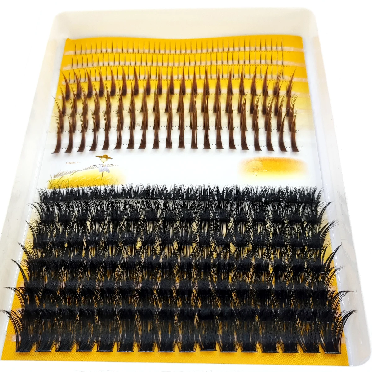 AMSDCN 60D-120D eyelash cluste - đánh giá và giá Eyelash Extension Doll Eye