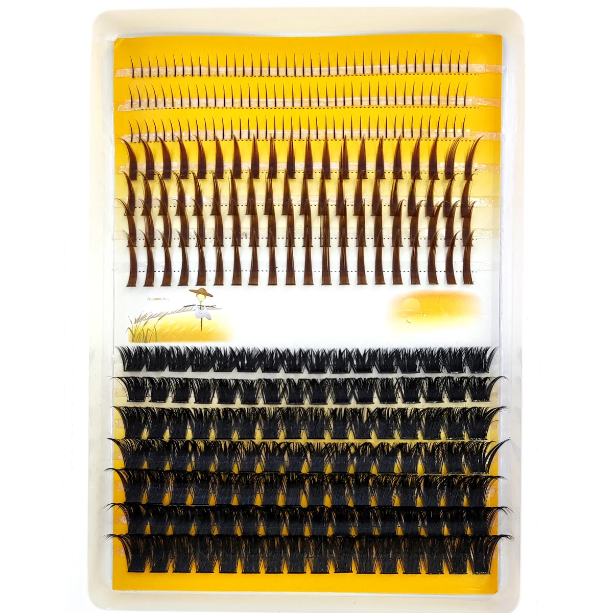 AMSDCN 60D-120D eyelash cluste - đánh giá và giá Eyelash Extension Doll Eye