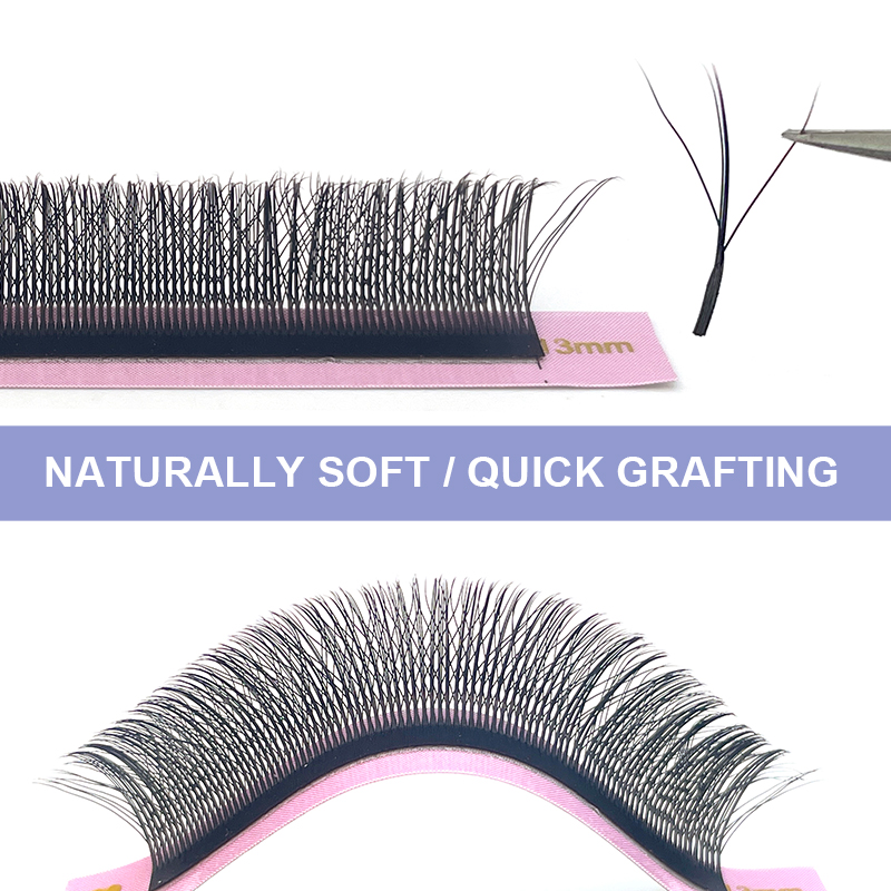 New Fairy 3D Thick W Shape Eas - đánh giá và giá Eyelash Extension Y Shape
