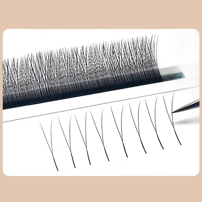 MARIA 2D Y Shape Eyelashes Han - đánh giá và giá Eyelash Extension Y Shape