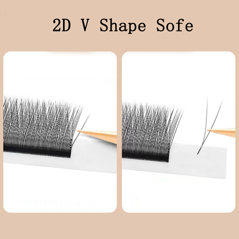 MARIA 2D Y Shape Eyelashes Han - đánh giá và giá Eyelash Extension Y Shape